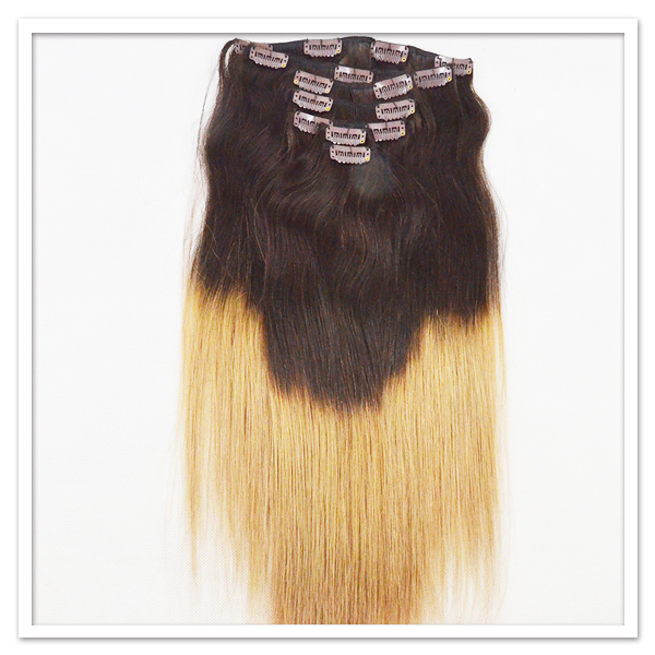 Real Remy Hair Clip In Extensions LJ252